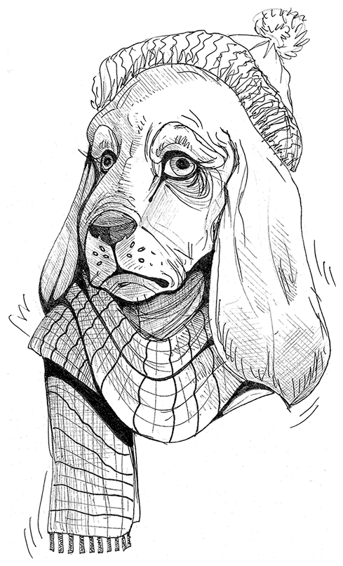 Иллюстрация к книге — Сэр рыцарь Лис [i_016.jpg]