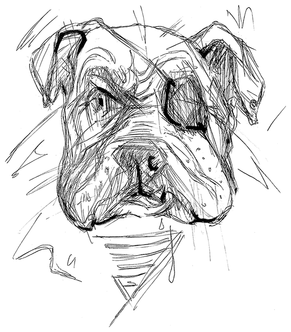 Иллюстрация к книге — Сэр рыцарь Лис [i_025.jpg]