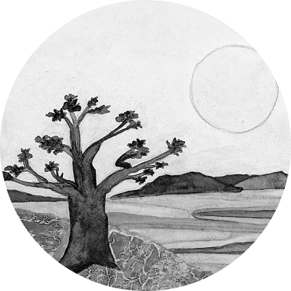 Иллюстрация к книге — Сафари для жизни. Как сделать мечты реальностью и никогда не переживать о потраченном времени [i_001.jpg]