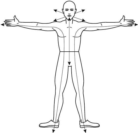 Иллюстрация к книге — В потоке. Как усилить течение жизненной силы: авторский метод работы с чакрами [i_010.jpg]