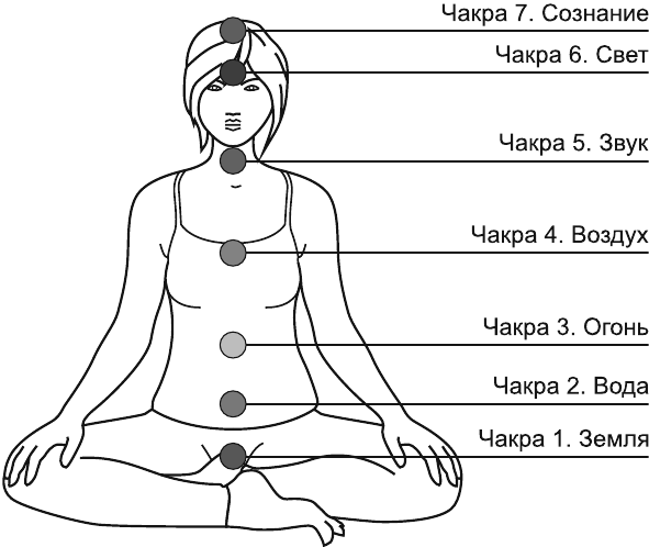 Иллюстрация к книге — В потоке. Как усилить течение жизненной силы: авторский метод работы с чакрами [i_013.jpg]