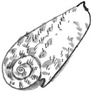 Иллюстрация к книге — Лампёшка [i_064.jpg]