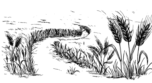 Иллюстрация к книге — Занимательная география [i_014.jpg]