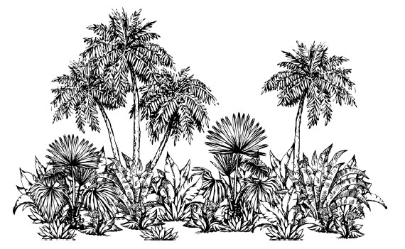 Иллюстрация к книге — Занимательная география [i_026.jpg]