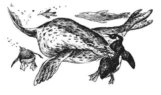 Иллюстрация к книге — Занимательная география [i_043.jpg]