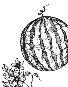 Иллюстрация к книге — Занимательная география [i_060.jpg]