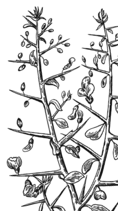 Иллюстрация к книге — Занимательная география [i_068.jpg]