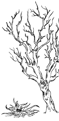 Иллюстрация к книге — Занимательная география [i_070.jpg]