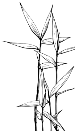 Иллюстрация к книге — Занимательная география [i_073.jpg]