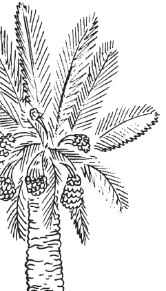 Иллюстрация к книге — Занимательная география [i_074.jpg]