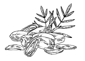 Иллюстрация к книге — Занимательная география [i_075.jpg]