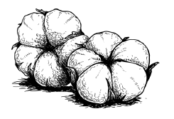 Иллюстрация к книге — Занимательная география [i_078.jpg]