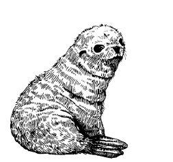 Иллюстрация к книге — Занимательная география [i_097.jpg]