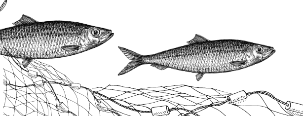 Иллюстрация к книге — Занимательная география [i_099.jpg]