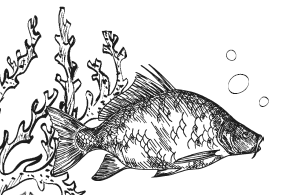 Иллюстрация к книге — Занимательная география [i_102.jpg]