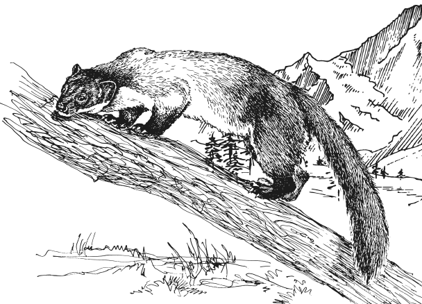 Иллюстрация к книге — Занимательная география [i_107.jpg]