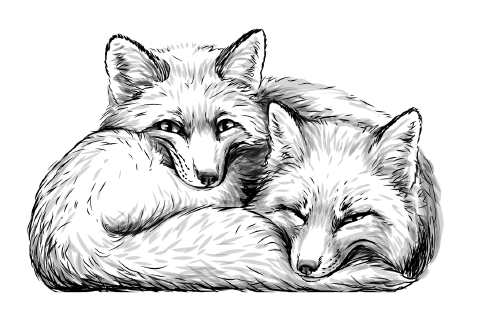 Иллюстрация к книге — Занимательная география [i_109.jpg]