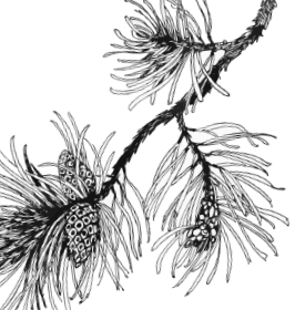 Иллюстрация к книге — Занимательная география [i_110.jpg]