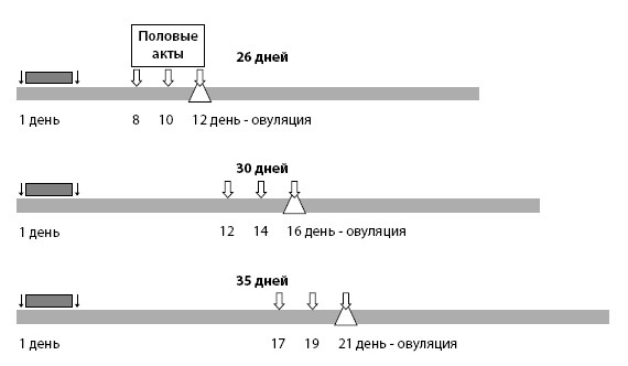 Иллюстрация к книге — Когда ты будешь готова. Как спокойно спланировать беременность и настроиться на осознанное материнство [i_017.jpg]
