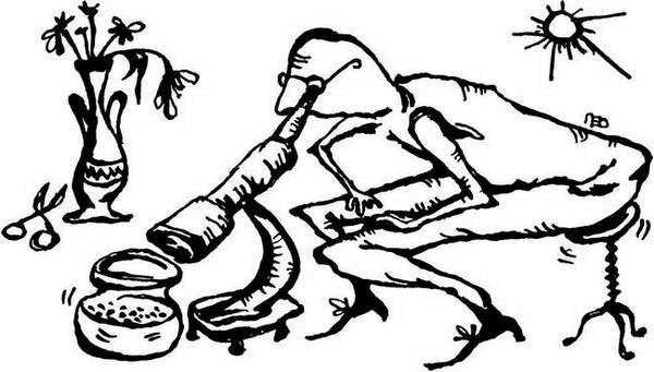 Иллюстрация к книге — Физика без формул [i_008.jpg]