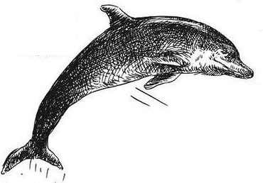 Иллюстрация к книге — Физика без формул [i_089.jpg]