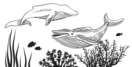 Иллюстрация к книге — Физика без формул [i_091.jpg]