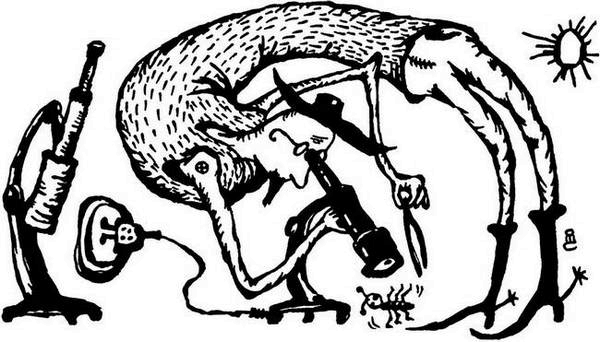 Иллюстрация к книге — Физика без формул [i_107.jpg]