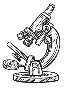 Иллюстрация к книге — Физика без формул [i_109.jpg]