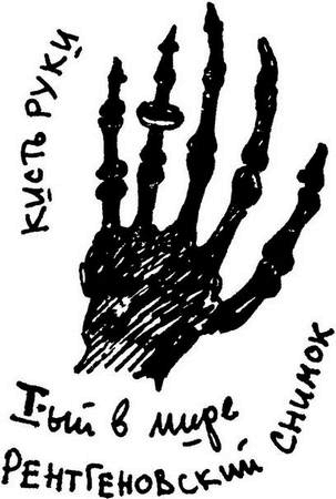 Иллюстрация к книге — Физика без формул [i_123.jpg]