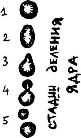 Иллюстрация к книге — Физика без формул [i_134.jpg]