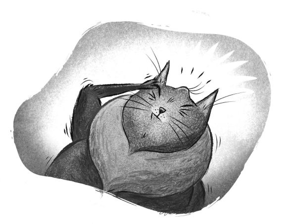 Иллюстрация к книге — Загадка котов-музыкантов [i_024.jpg]