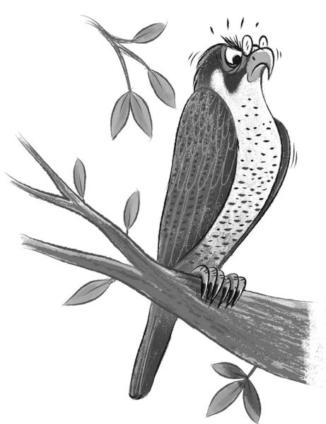 Иллюстрация к книге — Загадка котов-музыкантов [i_031.jpg]