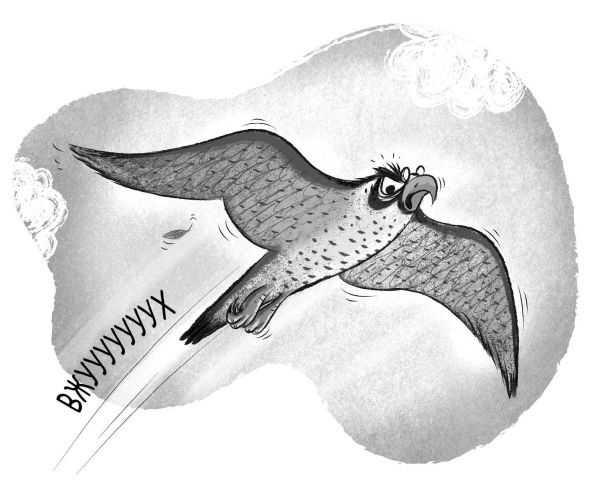 Иллюстрация к книге — Загадка котов-музыкантов [i_033.jpg]