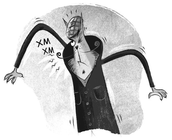 Иллюстрация к книге — Загадка котов-музыкантов [i_043.jpg]