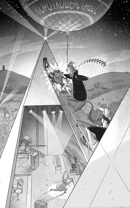 Иллюстрация к книге — Загадка котов-музыкантов [i_044.jpg]