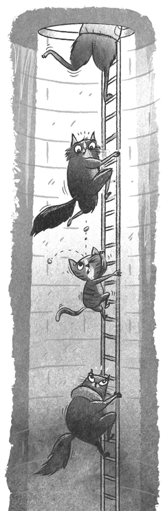 Иллюстрация к книге — Загадочное похищение [i_022.jpg]