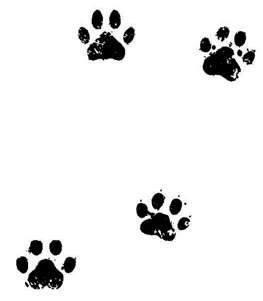 Иллюстрация к книге — Загадочное похищение [i_025.jpg]