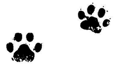 Иллюстрация к книге — Загадочное похищение [i_046.jpg]