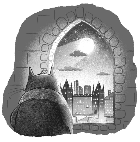 Иллюстрация к книге — Загадочное похищение [i_057.jpg]