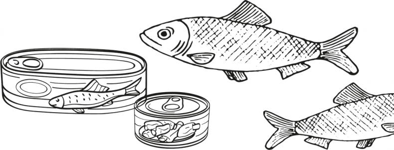 Иллюстрация к книге — «Моревизор» уходит в плавание, или Путешествие в глубь океана [i_006.jpg]