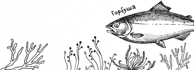 Иллюстрация к книге — «Моревизор» уходит в плавание, или Путешествие в глубь океана [i_008.jpg]