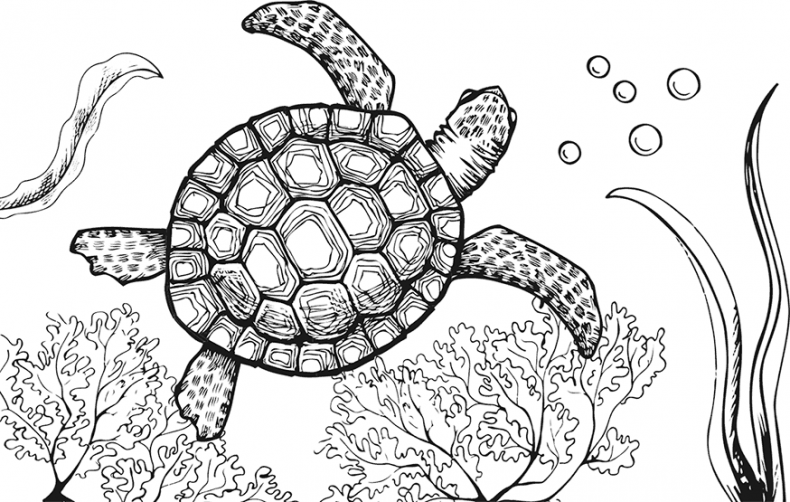 Иллюстрация к книге — «Моревизор» уходит в плавание, или Путешествие в глубь океана [i_009.jpg]