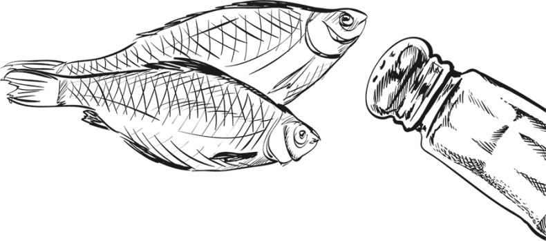 Иллюстрация к книге — «Моревизор» уходит в плавание, или Путешествие в глубь океана [i_010.jpg]