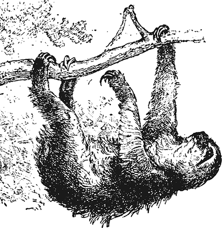 Иллюстрация к книге — «Моревизор» уходит в плавание, или Путешествие в глубь океана [i_011.jpg]