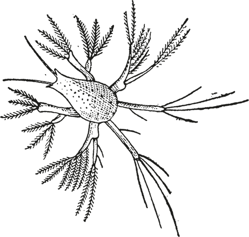 Иллюстрация к книге — «Моревизор» уходит в плавание, или Путешествие в глубь океана [i_014.jpg]