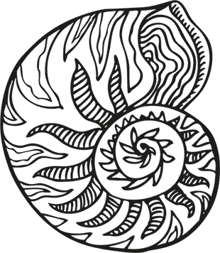 Иллюстрация к книге — «Моревизор» уходит в плавание, или Путешествие в глубь океана [i_015.jpg]