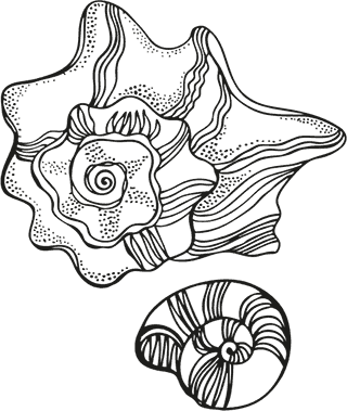 Иллюстрация к книге — «Моревизор» уходит в плавание, или Путешествие в глубь океана [i_016.jpg]