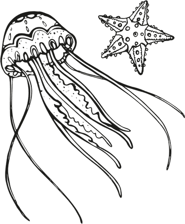 Иллюстрация к книге — «Моревизор» уходит в плавание, или Путешествие в глубь океана [i_020.jpg]