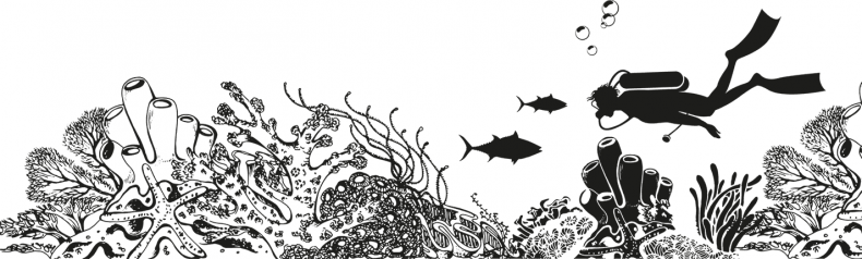 Иллюстрация к книге — «Моревизор» уходит в плавание, или Путешествие в глубь океана [i_031.jpg]