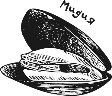 Иллюстрация к книге — «Моревизор» уходит в плавание, или Путешествие в глубь океана [i_035.jpg]